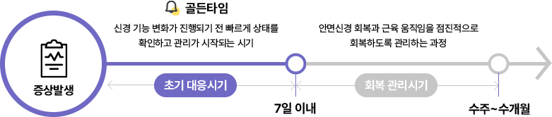 안면마비 회복 타임라인
